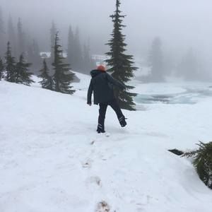 Meet your Posher, Willow